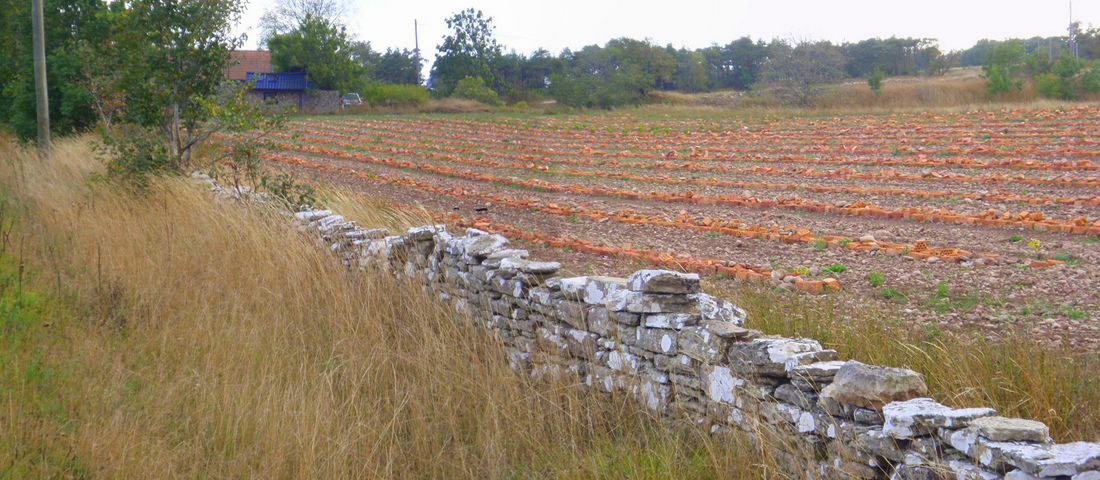 Brick Crop. Razing Blocks.